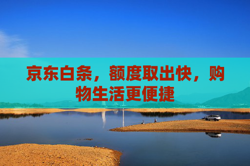 京东白条，额度取出快，购物生活更便捷 第1张