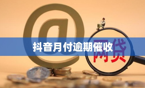 生活周转难？试试抖音月付额度取出来服务 第3张