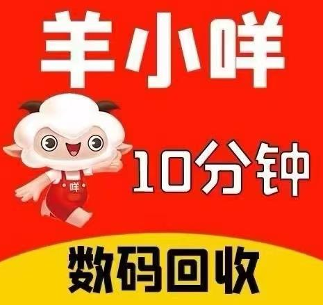 ​羊小咩便荔卡包怎么套出秒变现？五大高效变现策略教你轻松解决