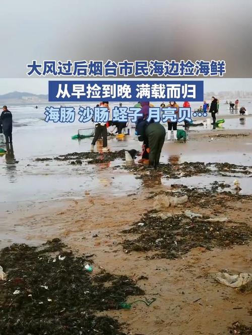   烟台狂风过后现"海鲜盛宴"：市民连夜赶海捡到爆桶，直呼实现"海鲜自由"！