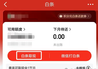 2025京东白条取现，京东白条取现操作步骤揭秘