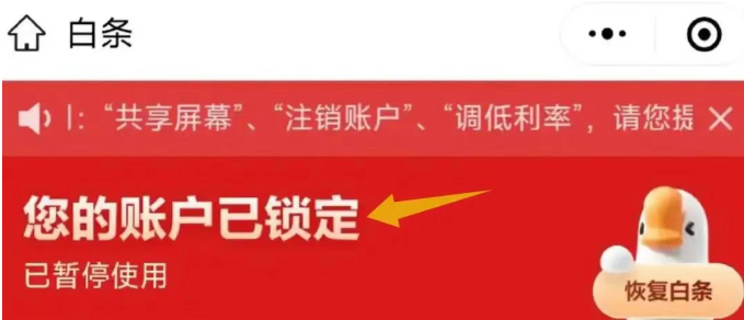 京东白条找商家兑现全新攻略，解锁提现多种高效安全变现新技巧 第3张