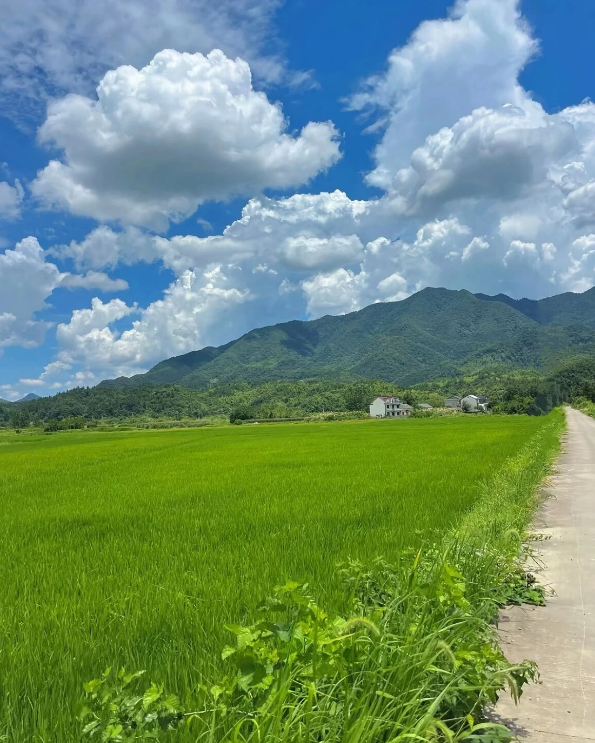 初夏的老家，曾经你想逃离，现在却想回来的地方